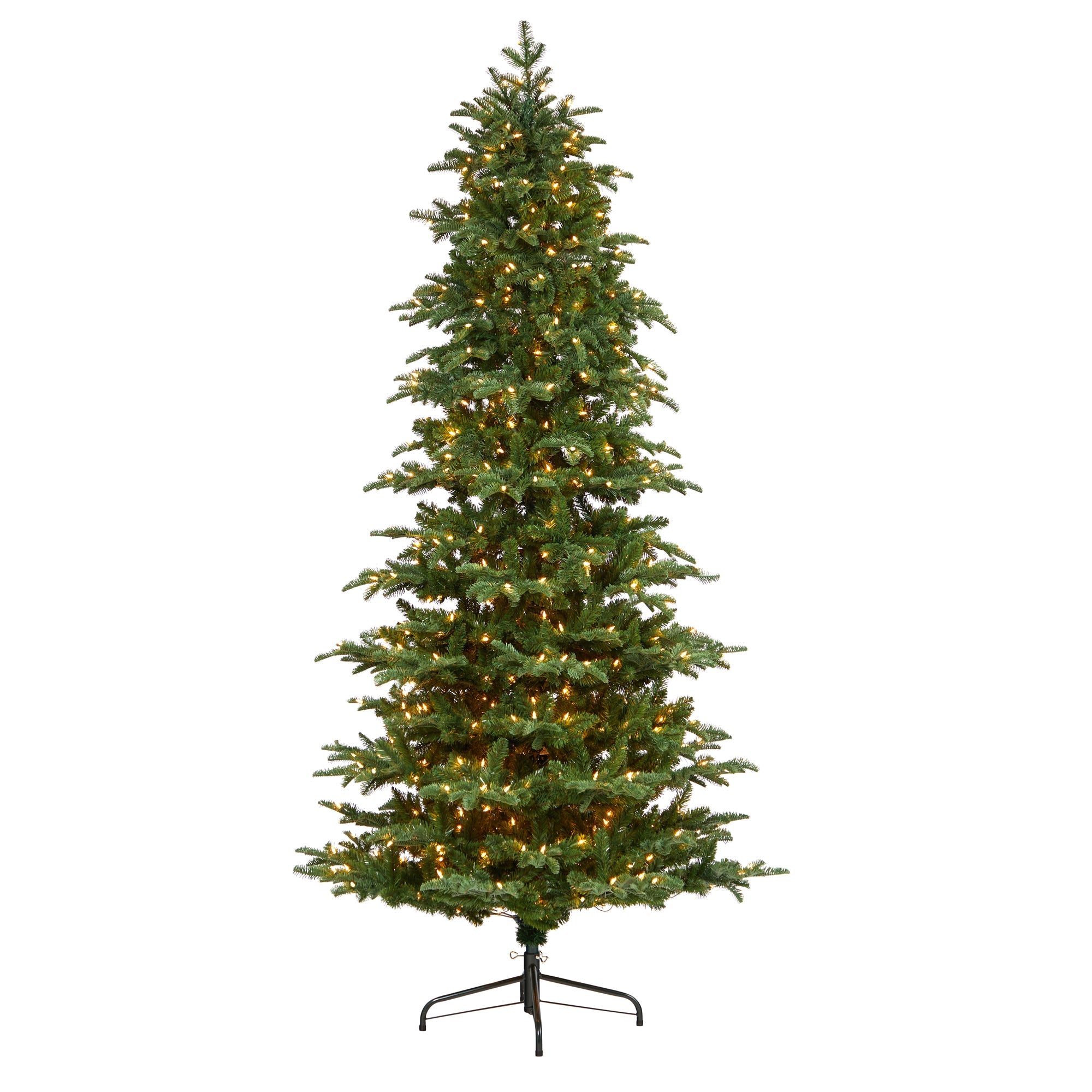 8' South Carolina Fir with 650 Clear Lights | Zigeze