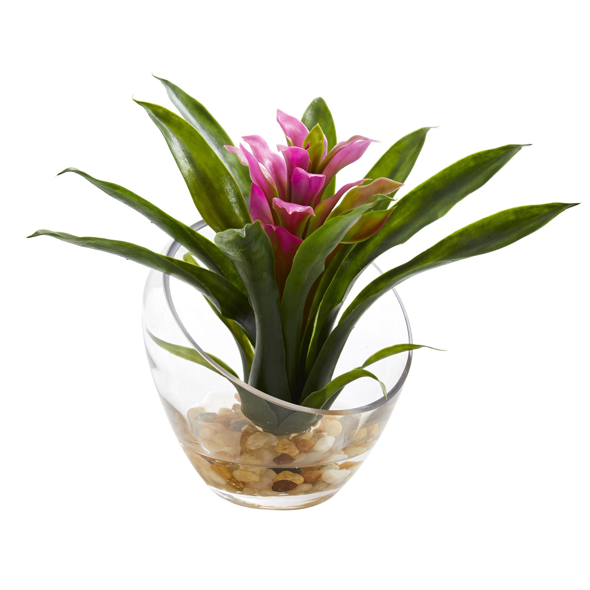 8" Tropical Purple Bromeliad in Angled Vase | Zigeze