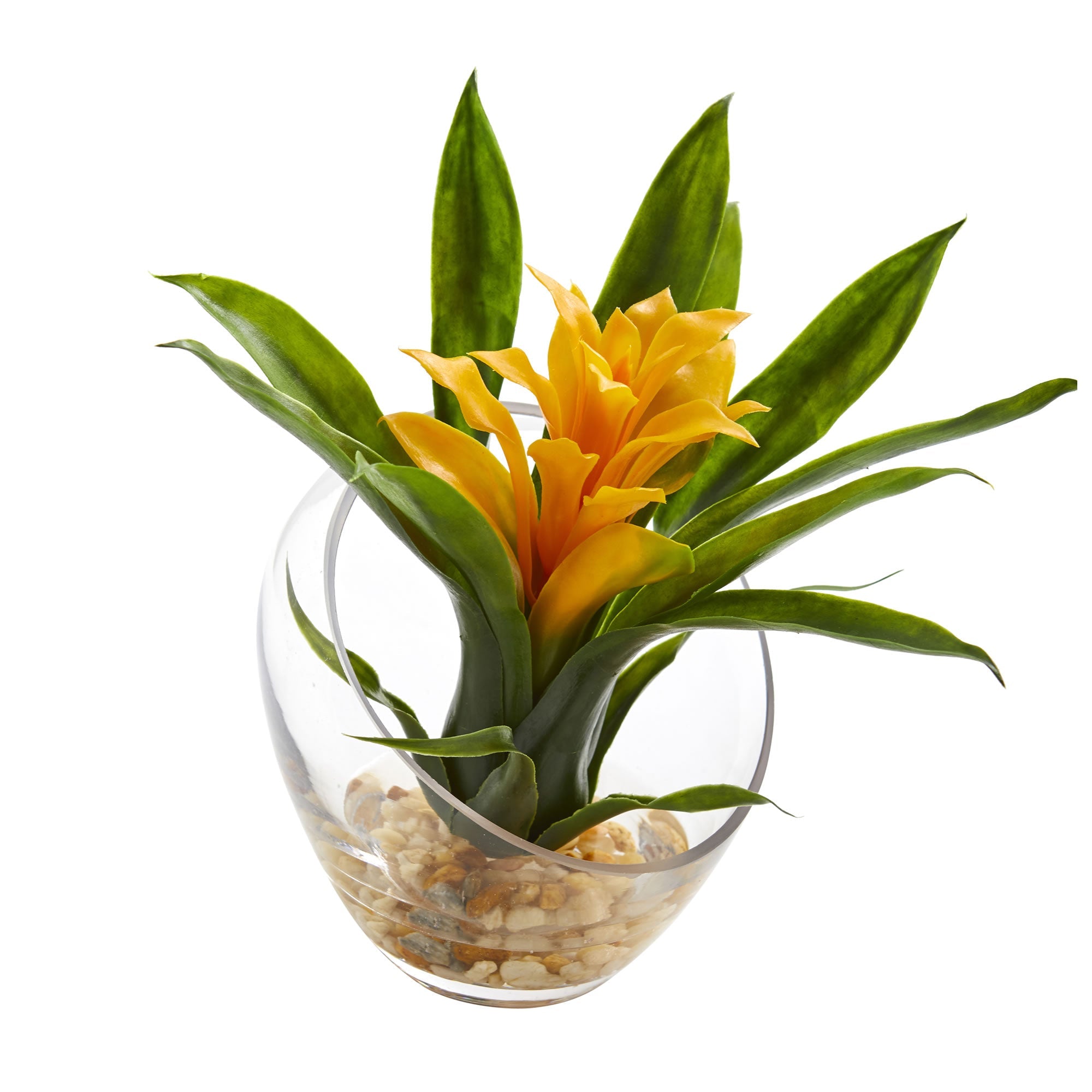 8" Tropical Yellow Bromeliad in Angled Vase | Zigeze