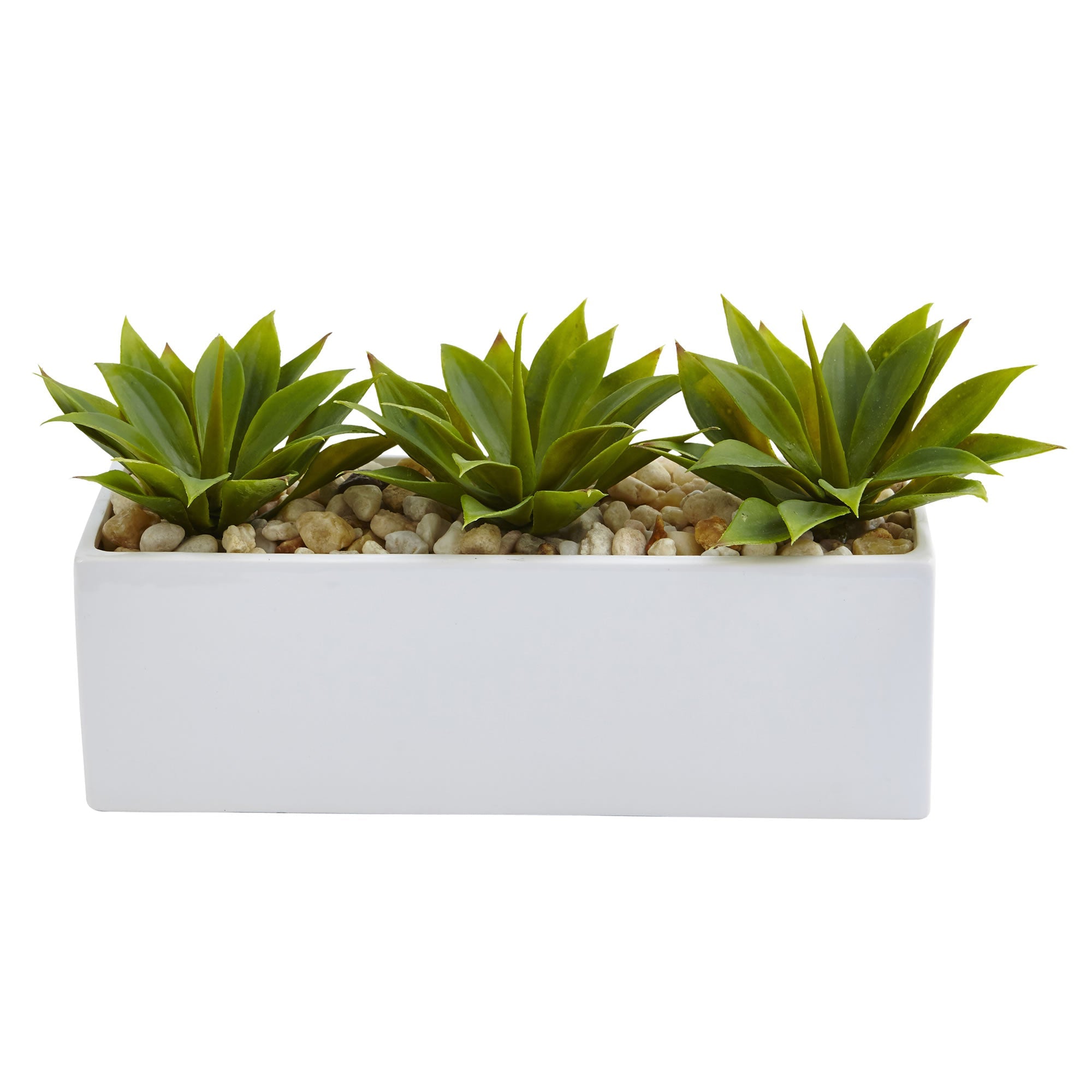 Artificial Agave Succulent in Rectangular Planter | Zigeze