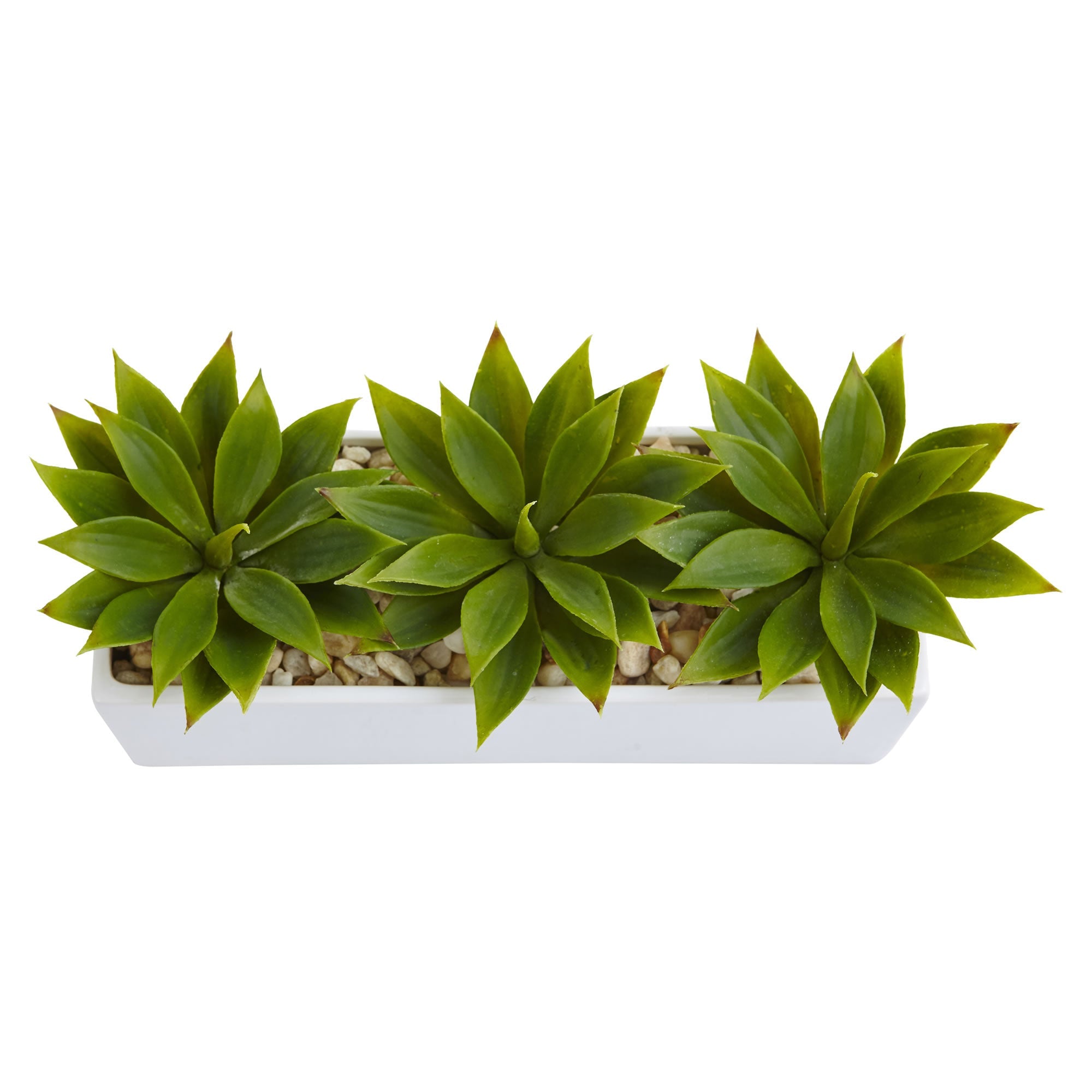 Artificial Agave Succulent in Rectangular Planter | Zigeze