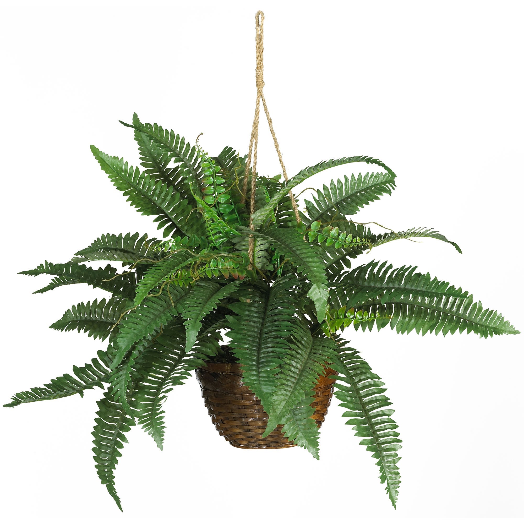 Artificial Boston Fern Silk Plant in Hanging Basket | Zigeze