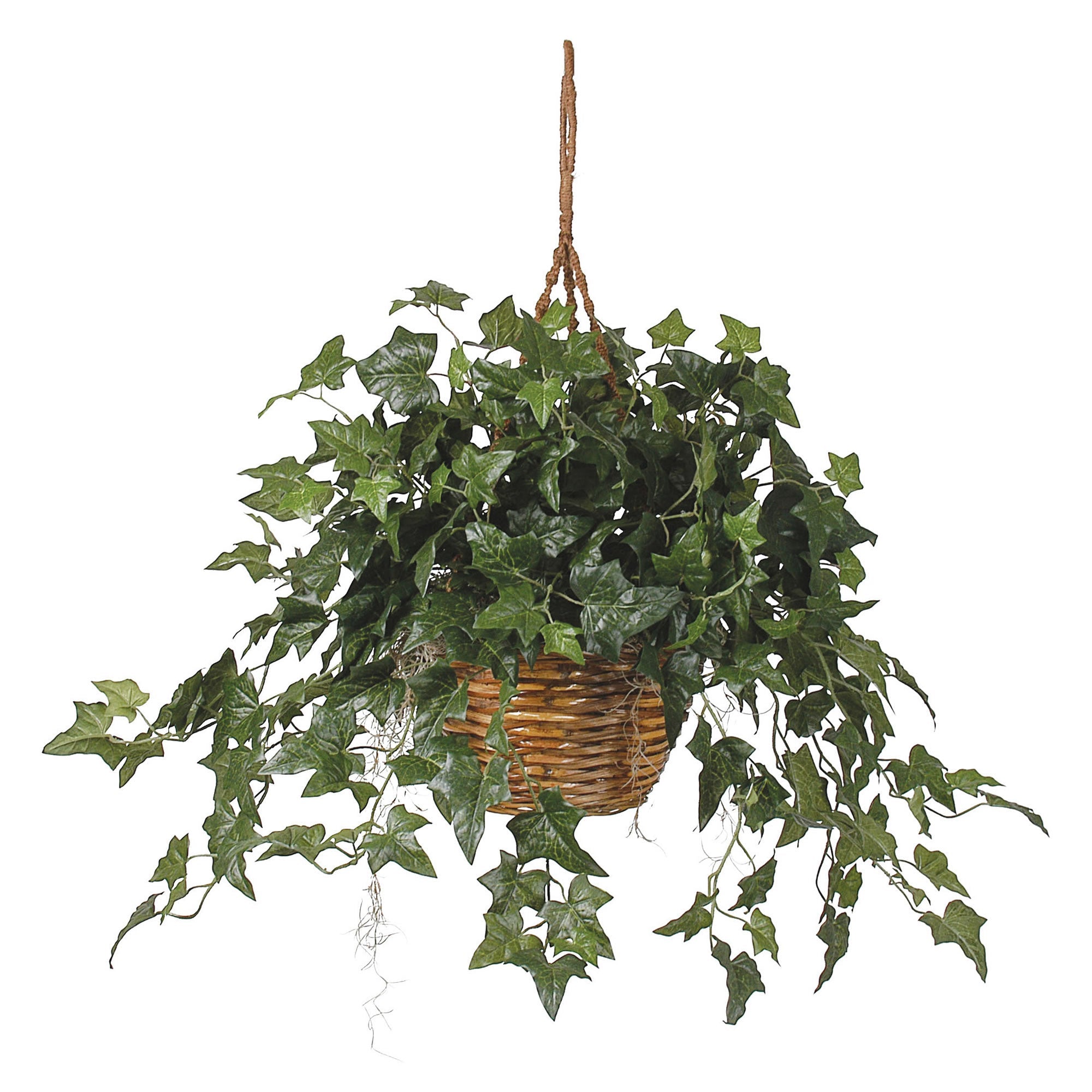 Artificial English Ivy Silk Plant in Hanging Basket | Zigeze