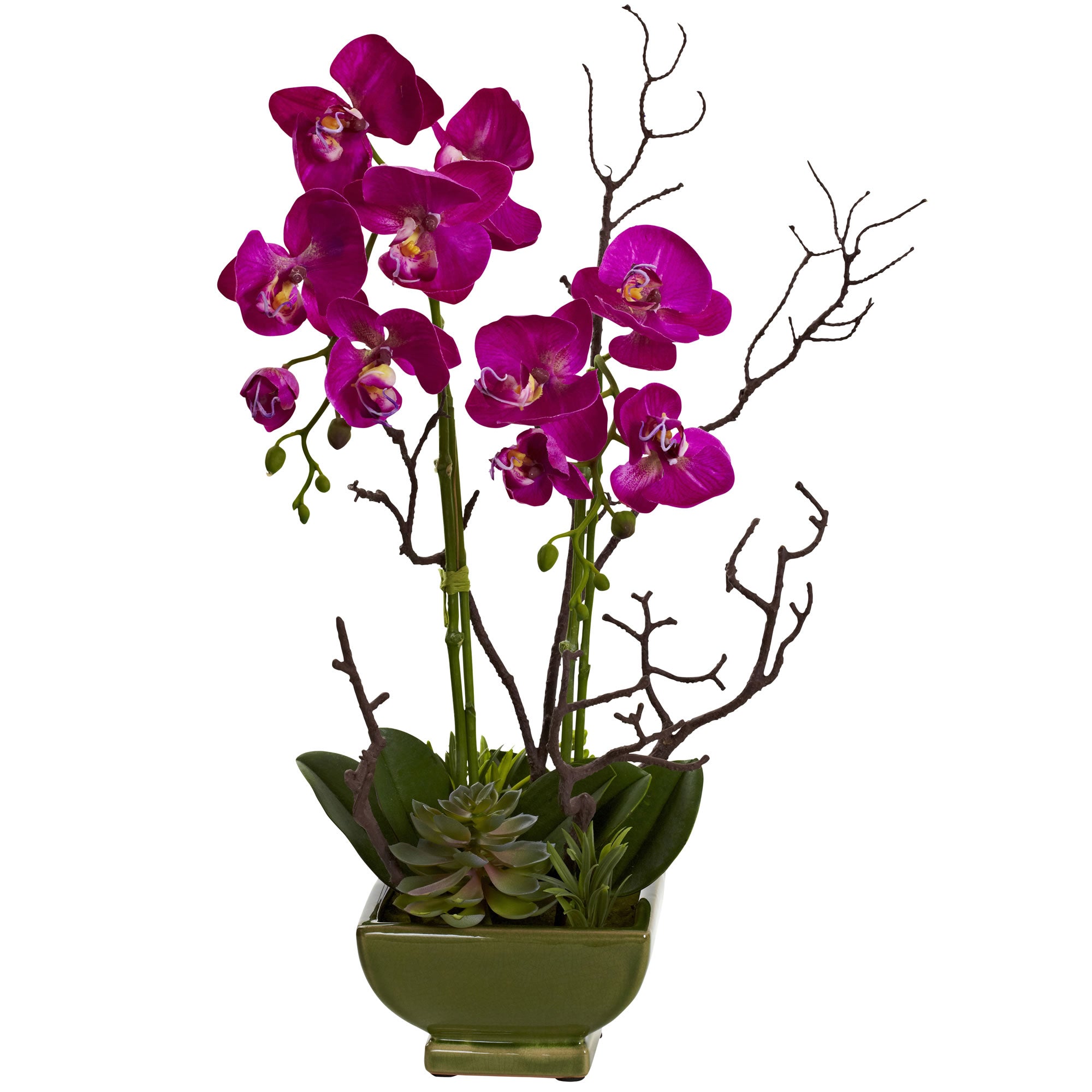 Artificial Orchid & Succulent Arrangement | Zigeze