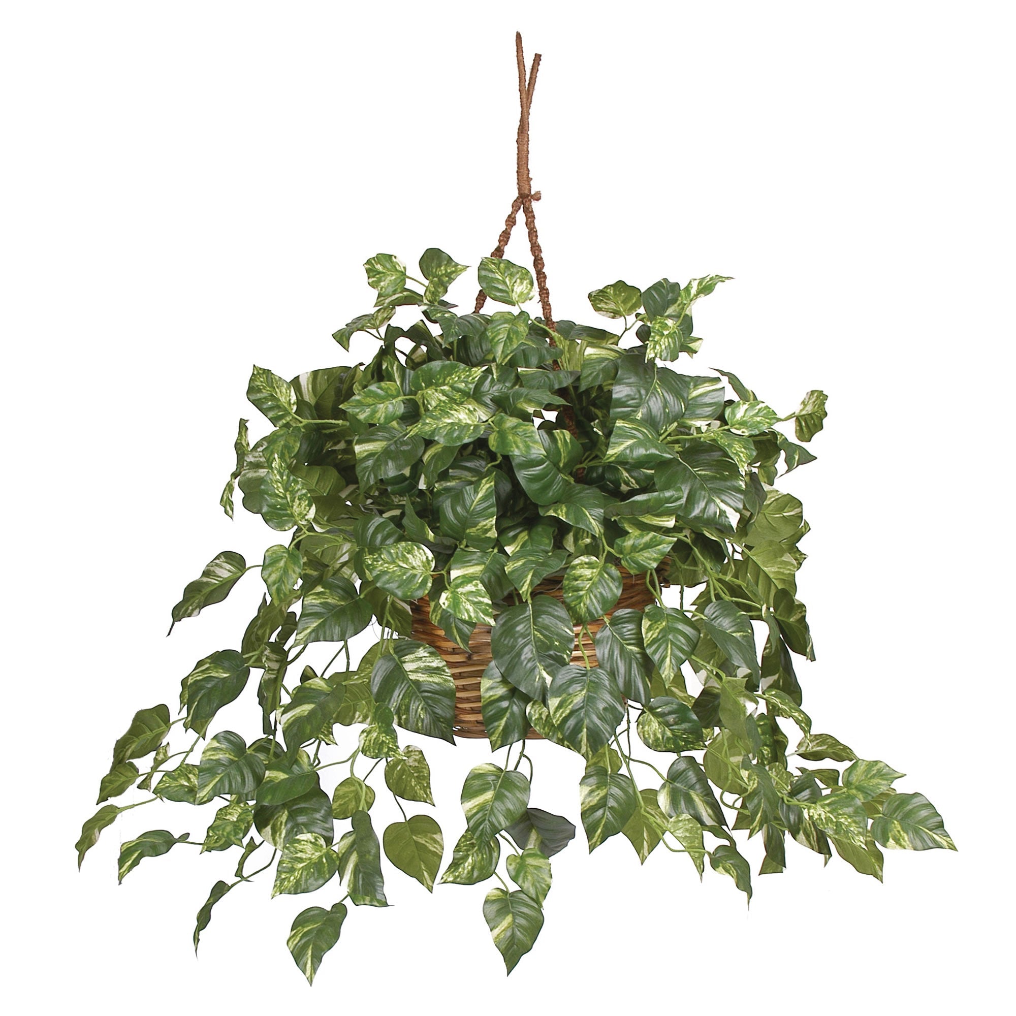 Artificial Pothos Silk Plant in Hanging Basket | Zigeze