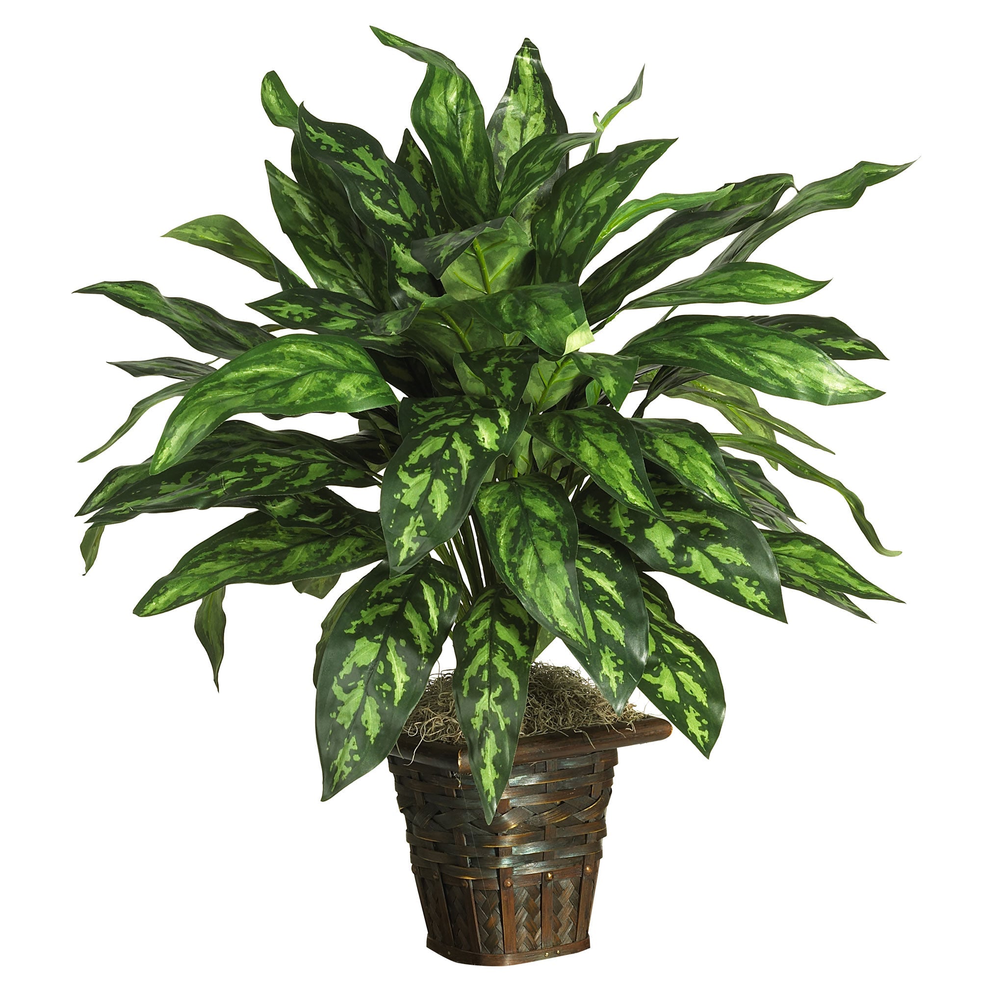 Artificial Silver King Silk Plant with Basket | Zigeze