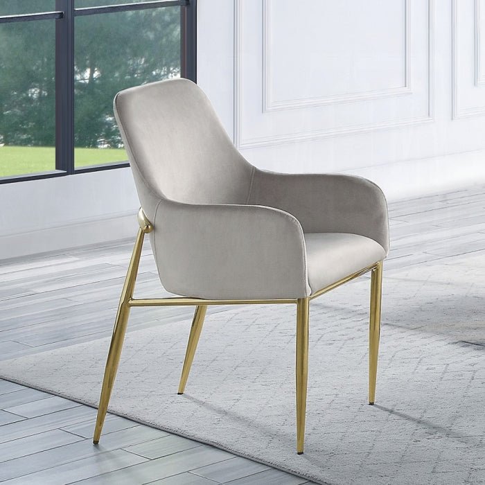 Barnard Side Chair (2Pc) | Zigeze