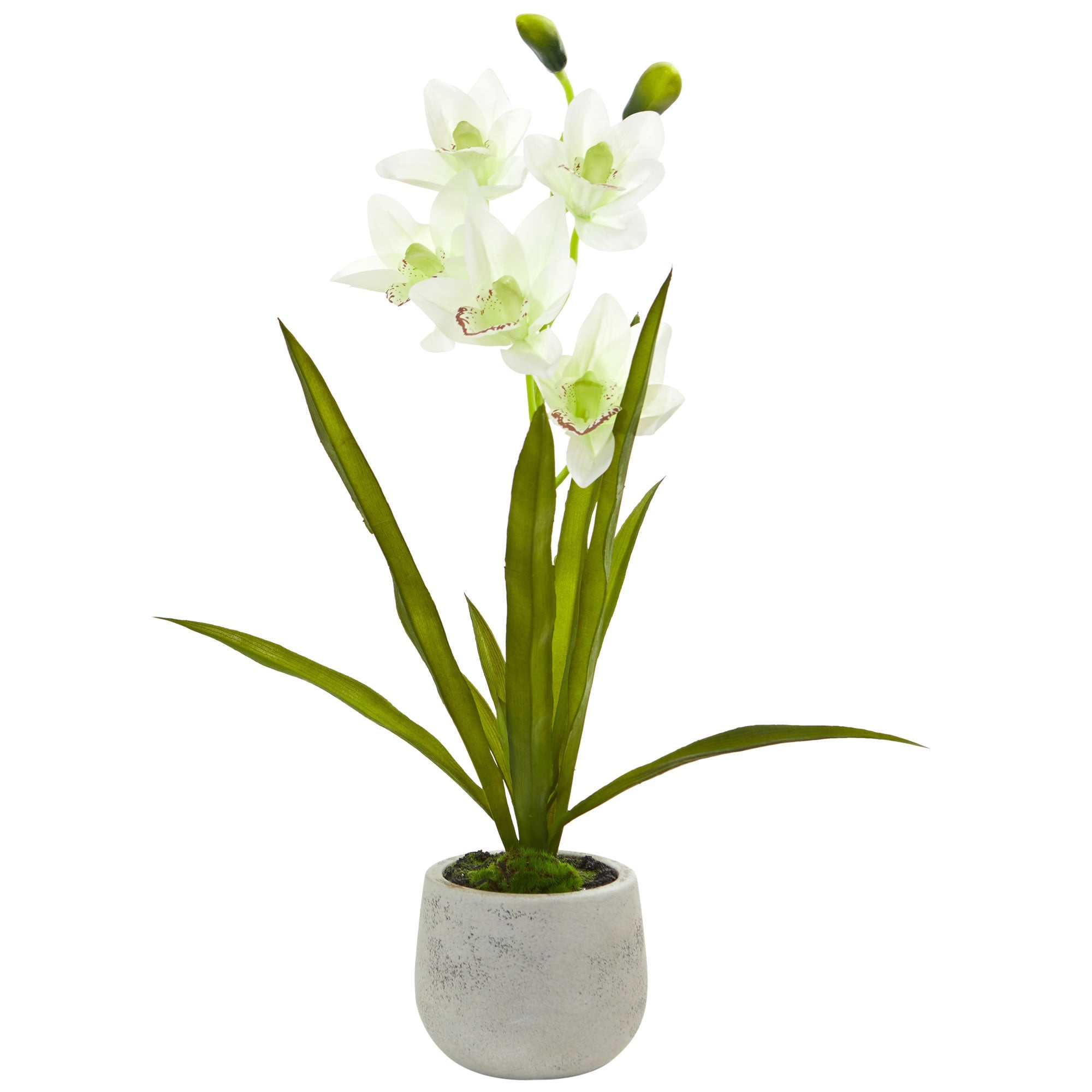 Cymbidium Orchid Artificial Arrangement in Vase | Zigeze