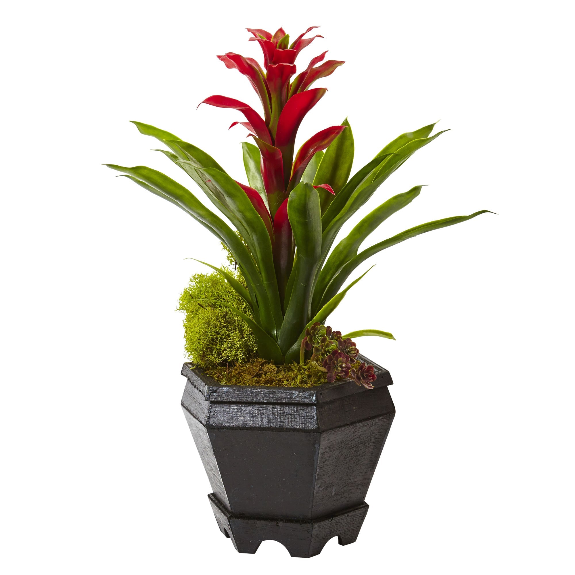 Faux Bromeliad Plant in Black Hexagon Planter | Zigeze