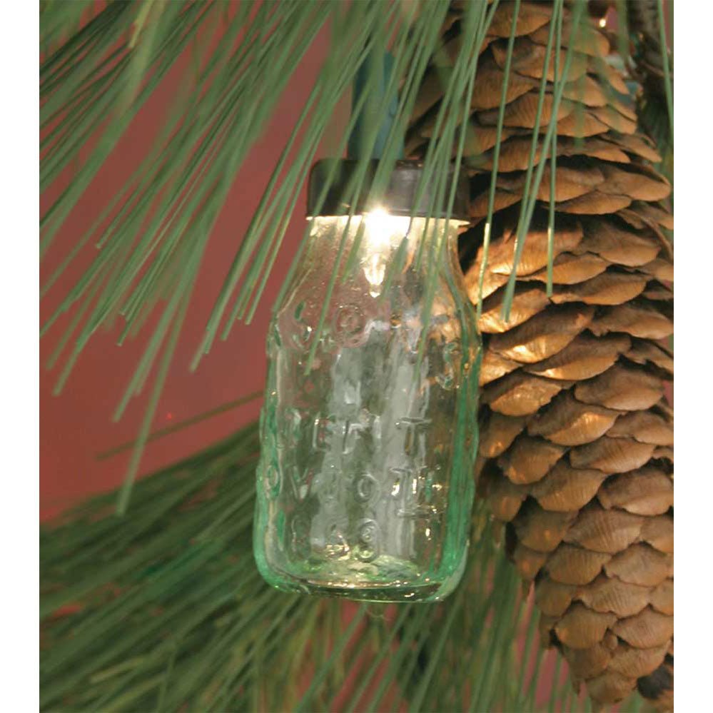 Glass Mini Mason Jar Ornament - Box of 6 | Zigeze