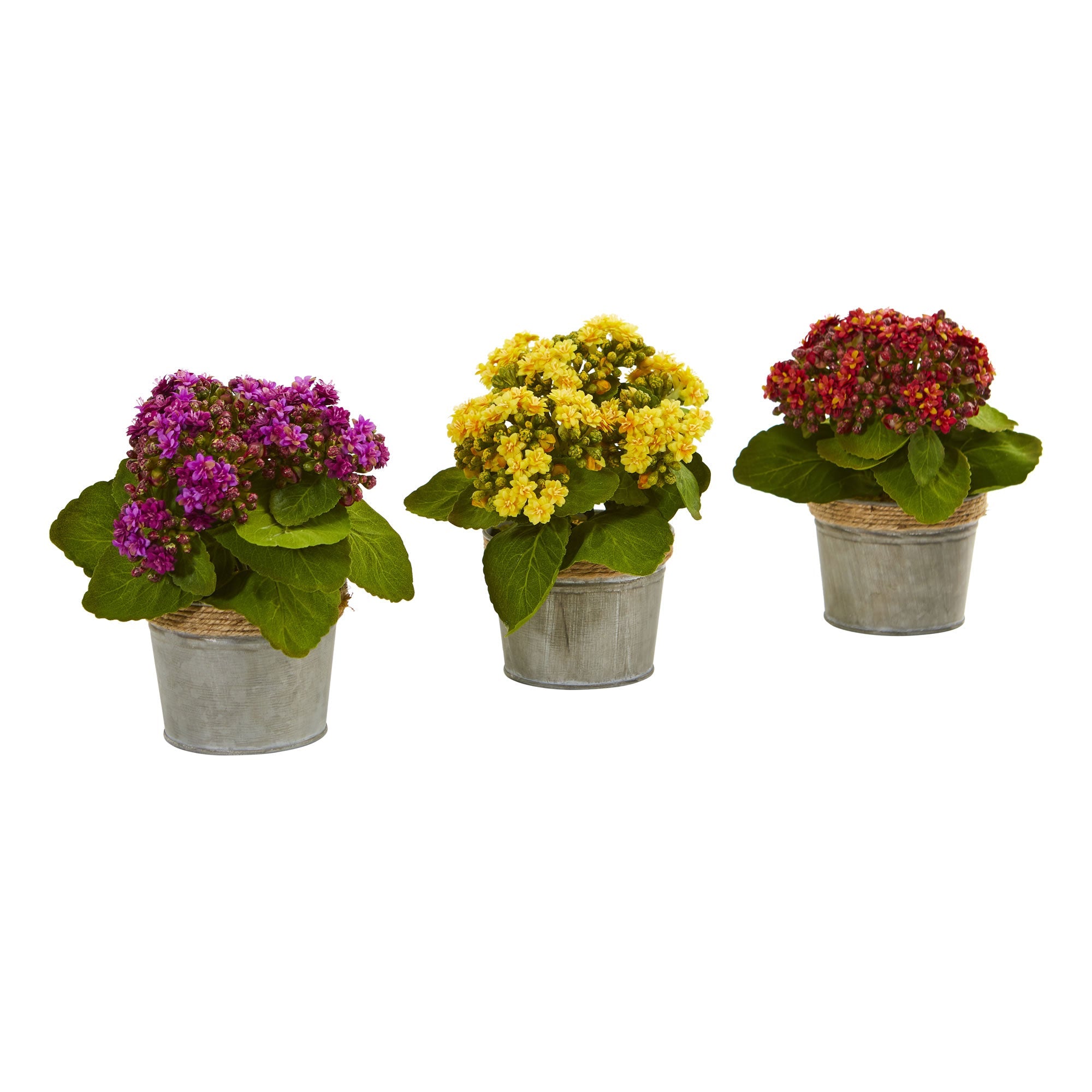 Kalanchoe Artificial Plant Arrangement, Set of 3 | Zigeze