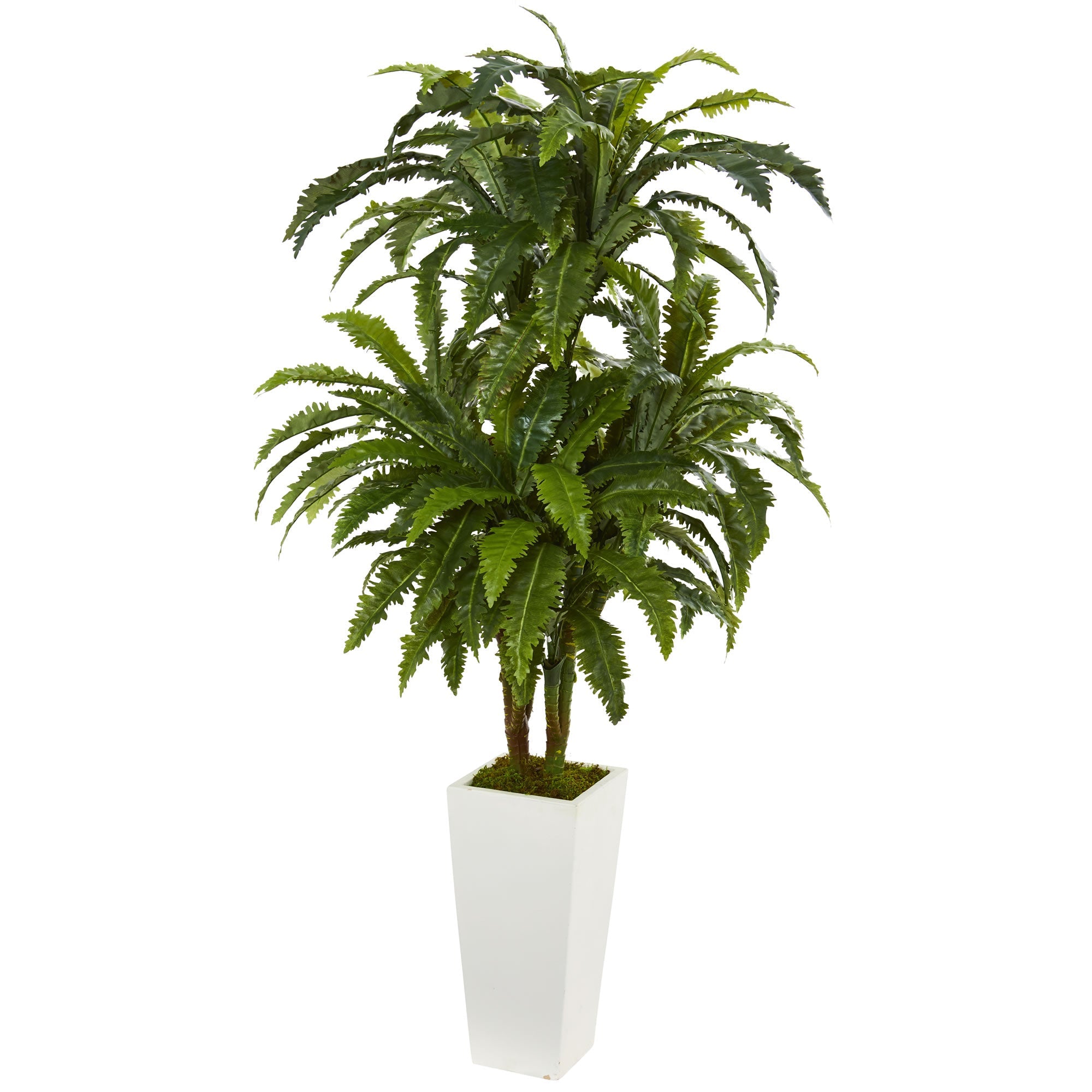 Marginatum Artificial Plant in White Tower Vase | Zigeze