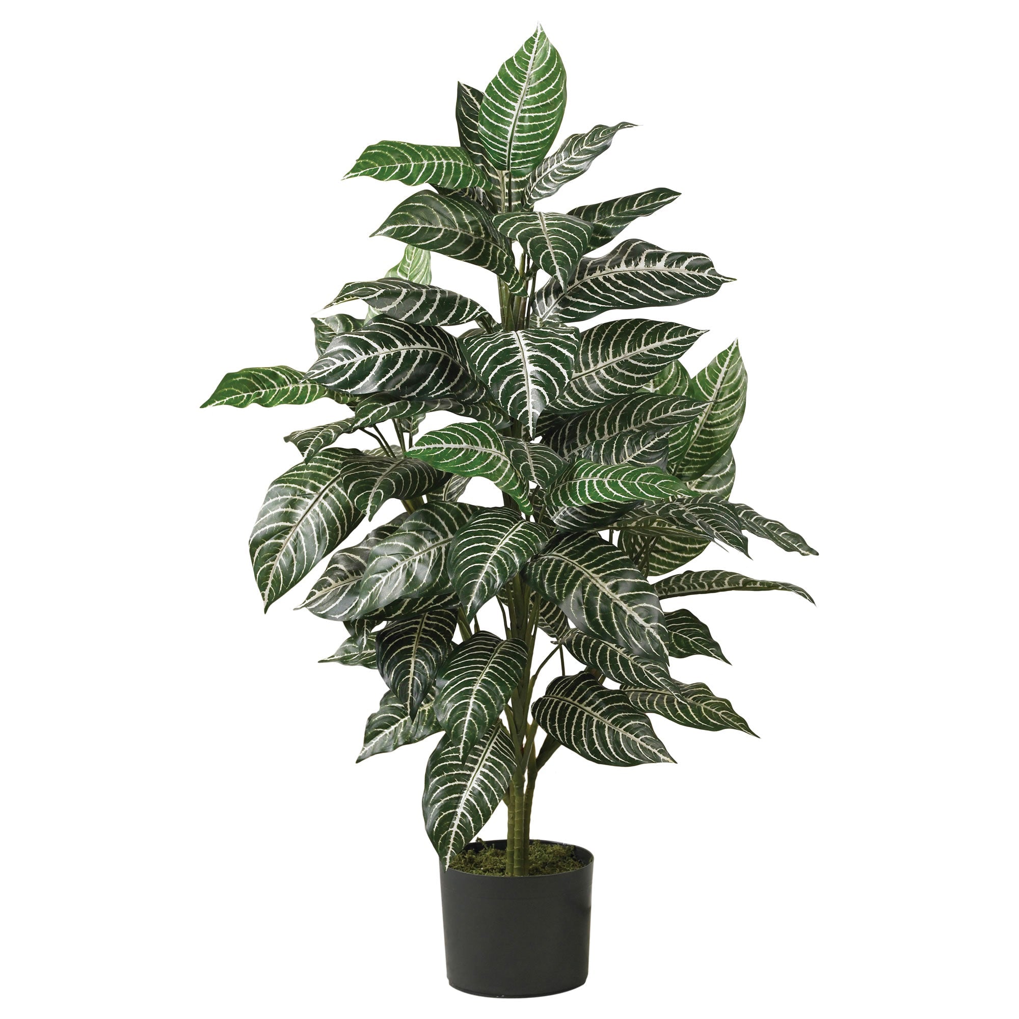 Over 3' Artificial Tropical Zebra Silk Plant | Zigeze