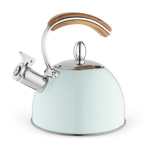 Presley Pistachio Stovetop Tea Kettle | Zigeze