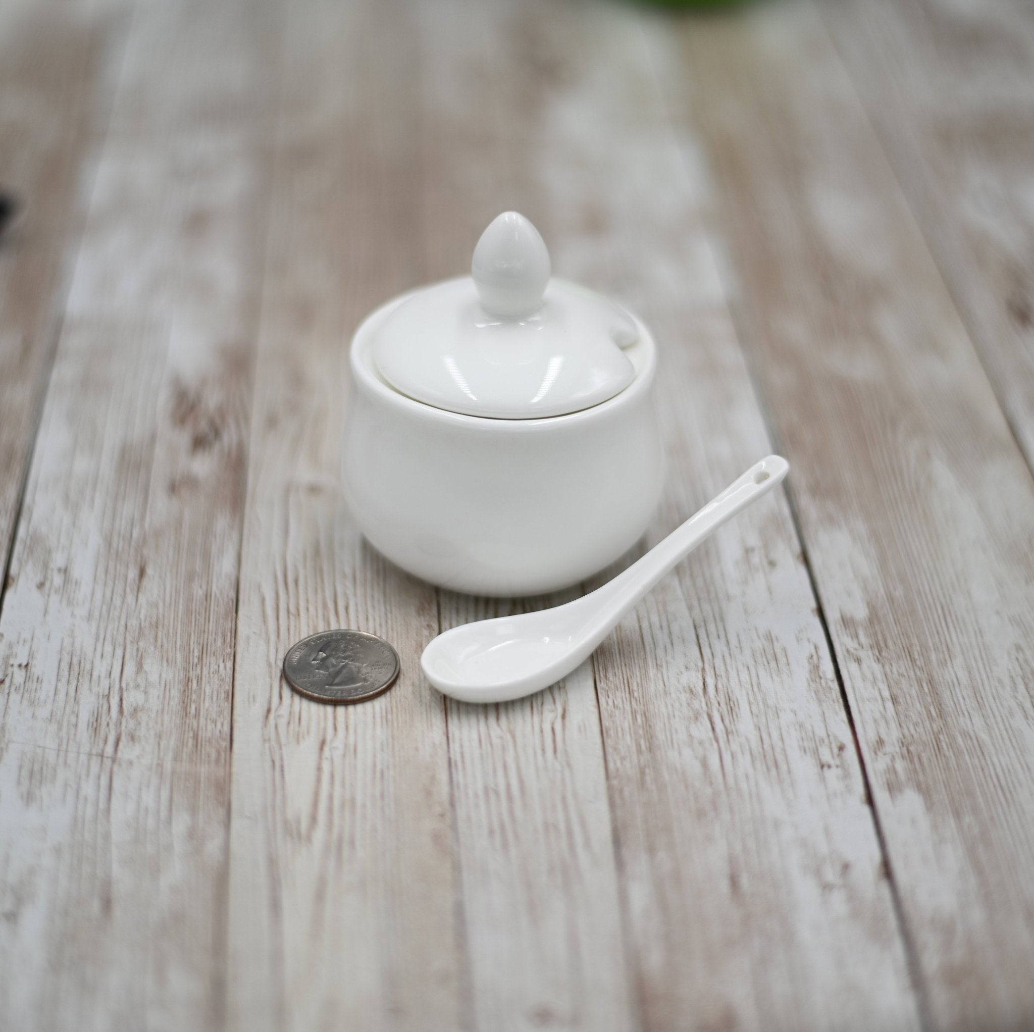 Set of 6 Fine Porcelain Condiment Pots With Spoon | Zigeze