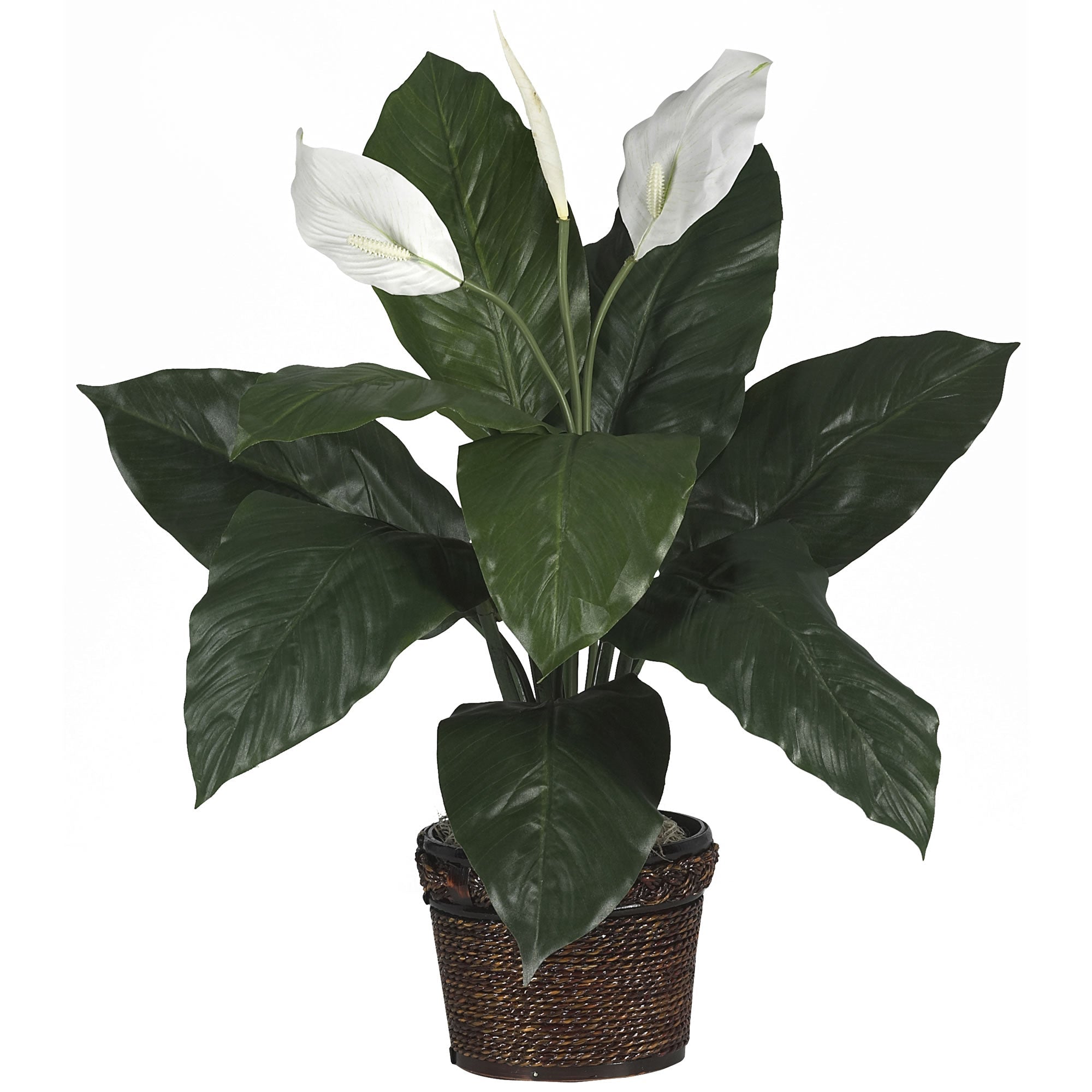 Spathiphyllum with Coiled Rope Wicker Silk Plant | Zigeze