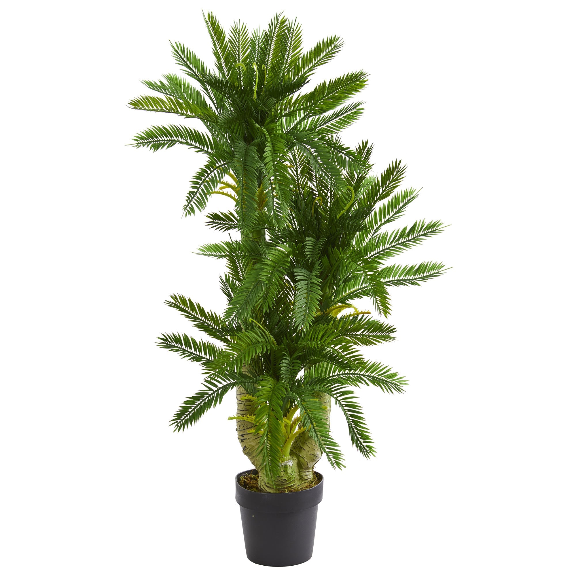 Triple Potted Artificial Vibrant Cycas Silk Plant | Zigeze