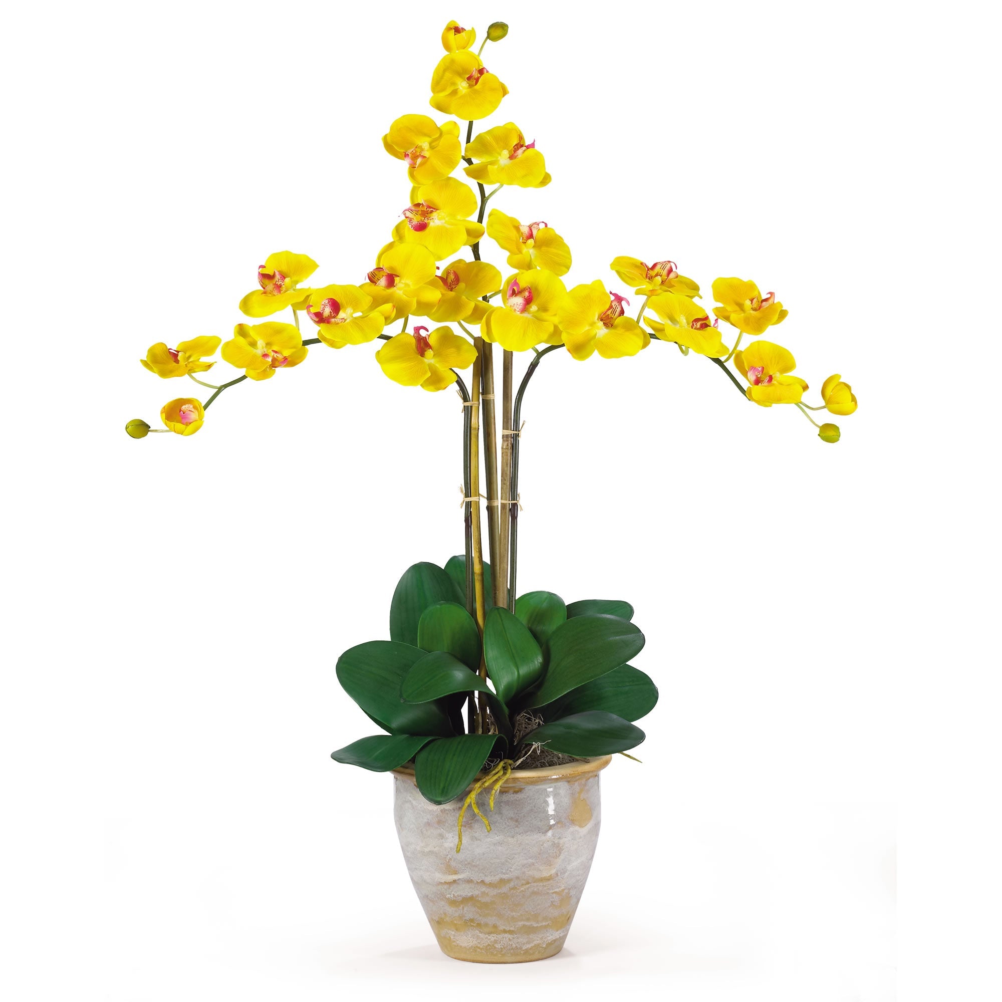 Triple Stem Phalaenopsis Silk Orchid Arrangement | Zigeze