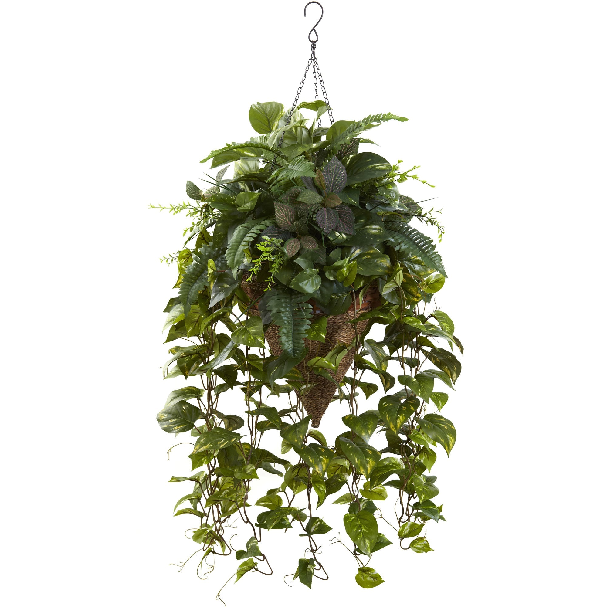 Vining Mixed Greens with Cone Hanging Basket | Zigeze