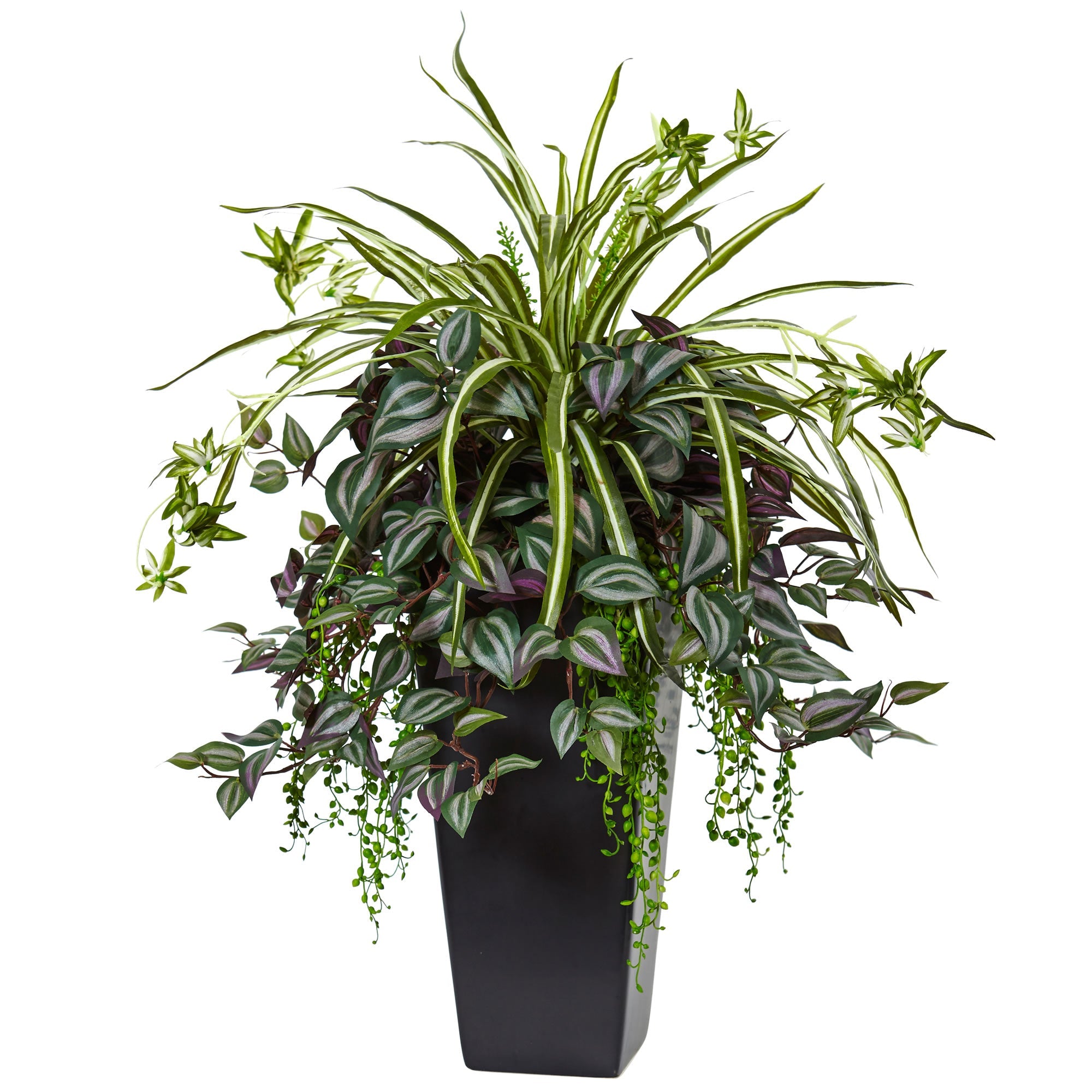 Wandering Jew and Spider Plant in Black Planter | Zigeze