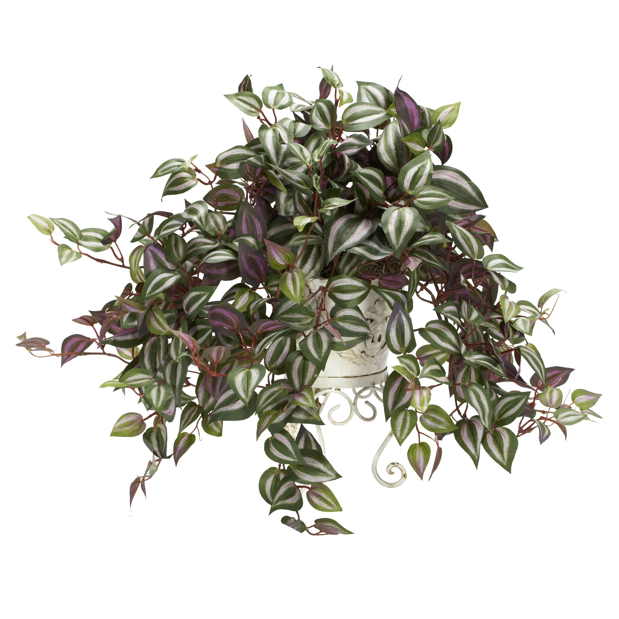 Wandering Jew with Metal Planter Silk Plant | Zigeze