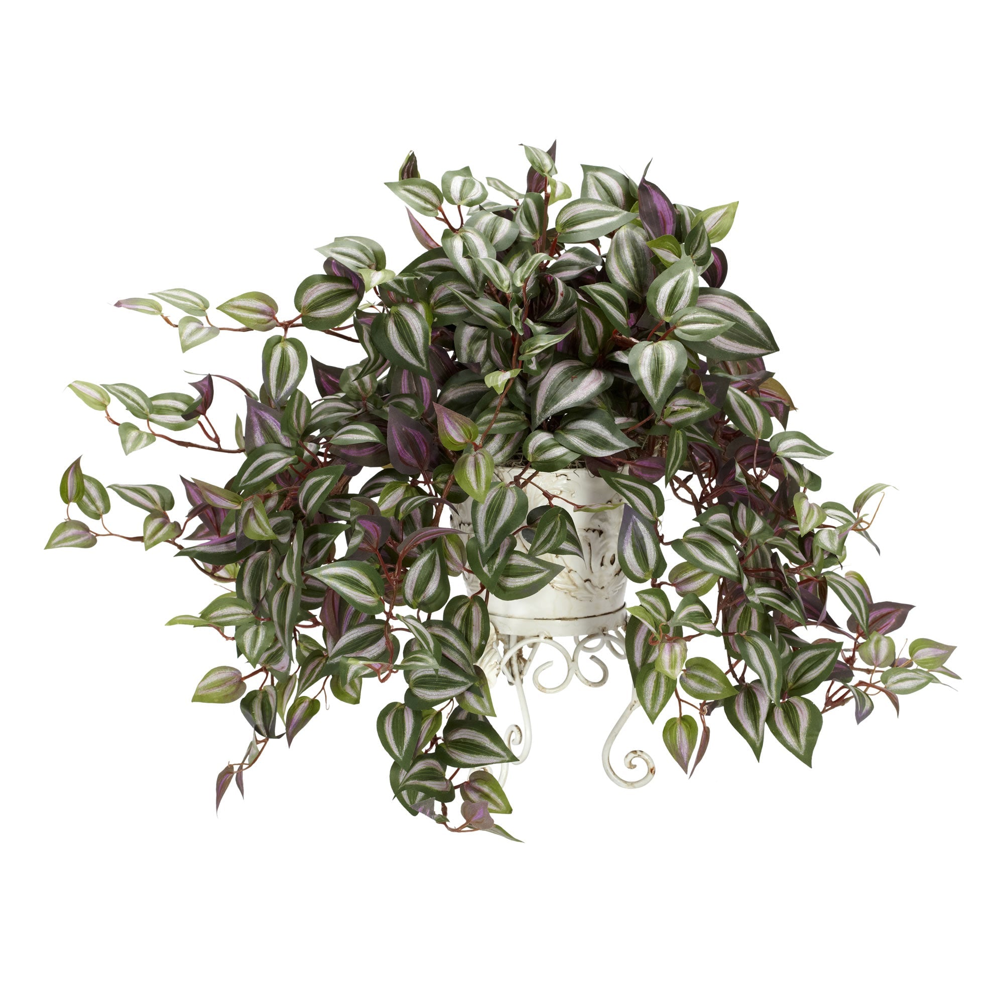 Wandering Jew with Metal Planter Silk Plant | Zigeze