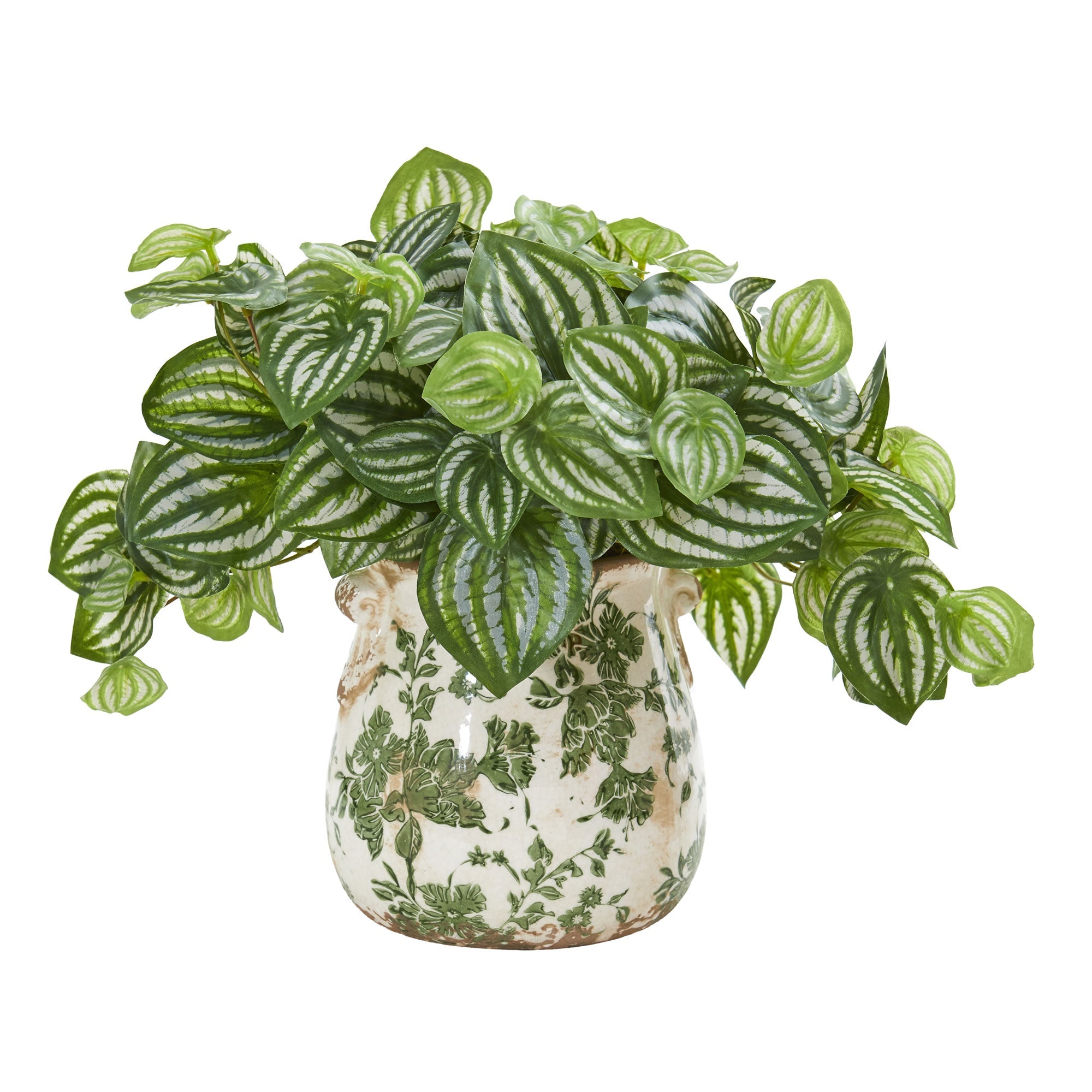 Watermelon Peperomia Artificial Plant in Vase (Real Touch) | Zigeze