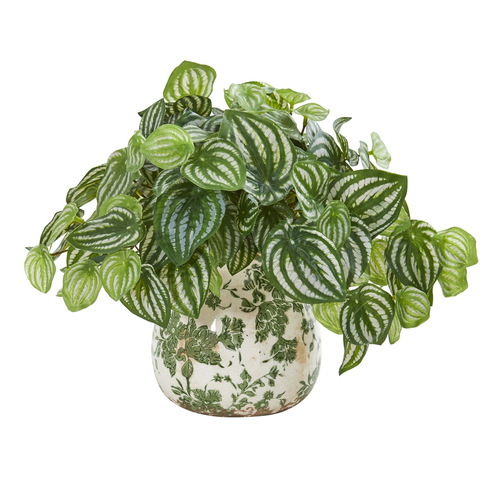 Watermelon Peperomia Artificial Plant in Vase (Real Touch) | Zigeze