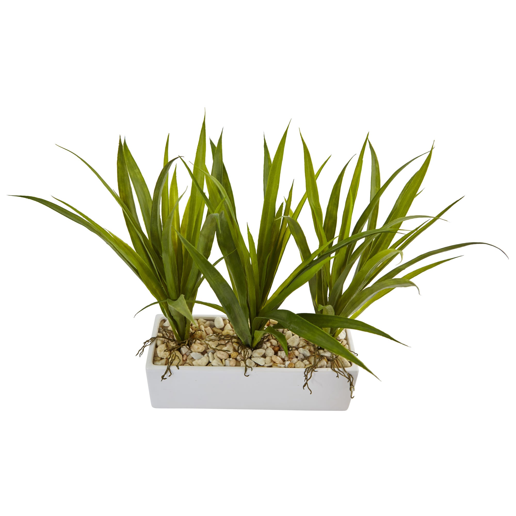 Grass in Rectangular Planter