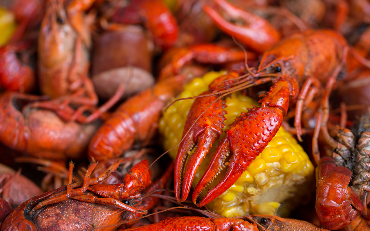 Drink Pairings with Cajun Food and Flavors